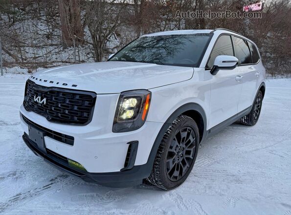 5XYP5DHC0NG243928 2022 KIA TELLURIDE Белый Передняя левая четверть