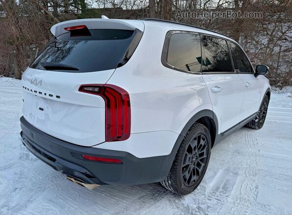 5XYP5DHC0NG243928 2022 KIA TELLURIDE Белый Передняя правая четверть