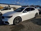 2020 Acura Tlx Technology White vin: 19UUB2F66LA003665
