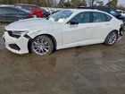 2023 Acura Tlx Белый vin: 19UUB5F36PA004716