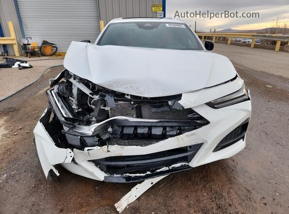 19UUB6F58SA001381 2025 ACURA TLX Белый Вид спереди