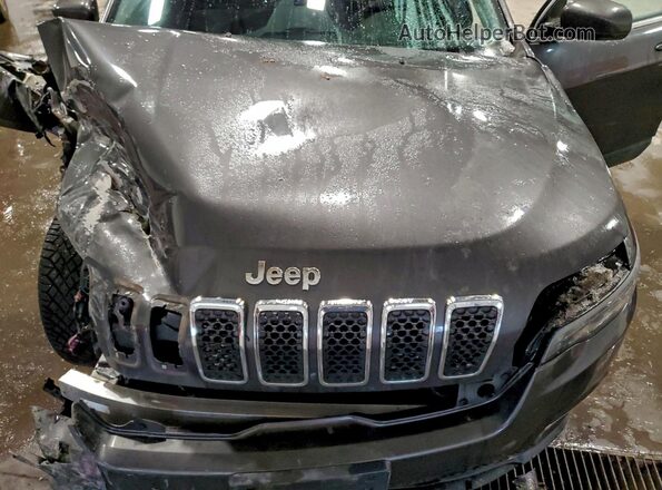 1C4PJMDX3KD231903 2019 JEEP CHEROKEE Gray Vista del compartimento del motor