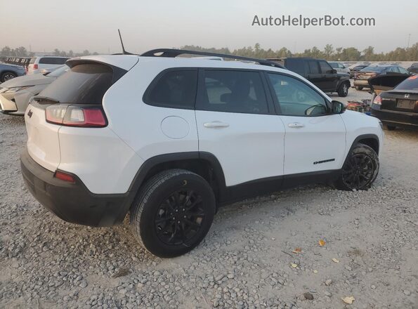 1C4PJMMB8PD111090 2023 JEEP CHEROKEE White Tył prawy