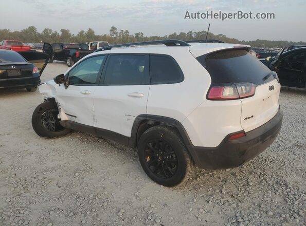 1C4PJMMB8PD111090 2023 JEEP CHEROKEE White Tył lewy