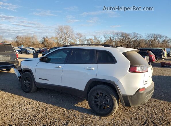 1C4PJMMB9PD102088 2023 JEEP CHEROKEE White Tył lewy