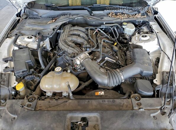 1FA6P8AM8G5220348 2016 FORD MUSTANG Белый Вид задней части салона