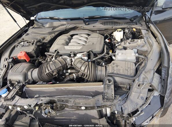 1FA6P8CF7R5426147 2024 FORD MUSTANG Черный Вид сзади