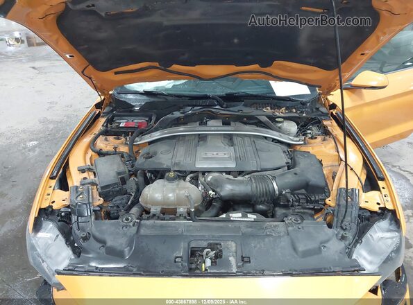 1FA6P8CF8K5189657 2019 FORD MUSTANG Оранжевый Вид сзади