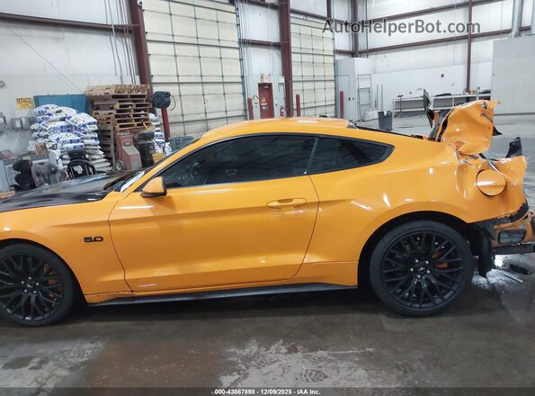 1FA6P8CF8K5189657 2019 FORD MUSTANG Оранжевый 