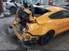 2019 Ford Mustang Gt Premium Оранжевый vin: 1FA6P8CF8K5189657