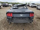 2019 Ford Mustang Черный vin: 1FA6P8TH2K5117502