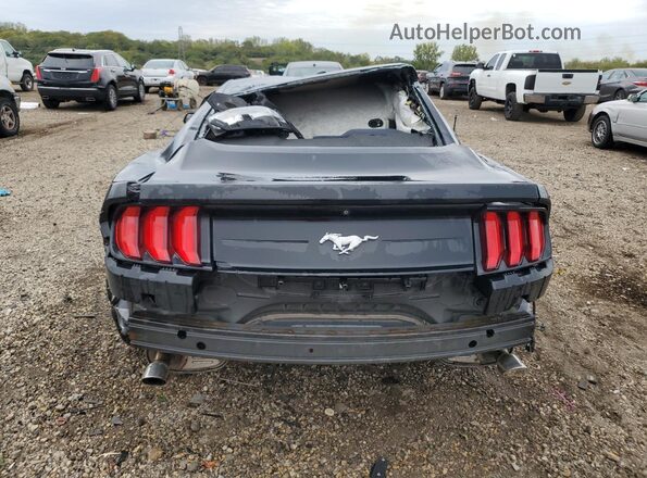 1FA6P8TH2K5117502 2019 FORD MUSTANG Черный Вид сзади