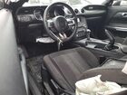 2019 Ford Mustang Черный vin: 1FA6P8TH2K5117502