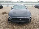 2019 Ford Mustang Черный vin: 1FA6P8TH2K5117502