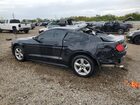 2019 Ford Mustang Черный vin: 1FA6P8TH2K5117502