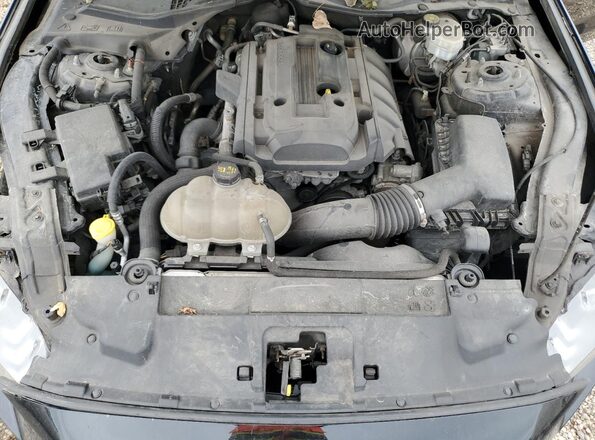 1FA6P8TH2K5117502 2019 FORD MUSTANG Черный Вид задней части салона