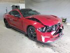 2023 Ford Mustang Темно-бордовый vin: 1FA6P8TH5P5106422