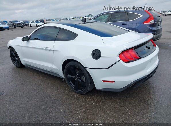1FA6P8TH7P5111959 2023 FORD MUSTANG Белый Задняя левая четверть