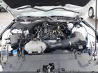 2023 Ford Mustang Ecoboost Fastback Белый vin: 1FA6P8TH7P5111959