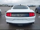 2023 Ford Mustang Ecoboost Fastback Белый vin: 1FA6P8TH7P5111959