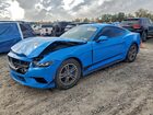 2024 Ford Mustang Blue vin: 1FA6P8TH7R5119482