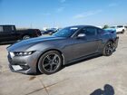 2025 Ford Mustang Gray vin: 1FA6P8TH7S5101716