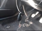 2017 Ford Focus Красный vin: 1FADP3L95HL338700 2017 Ford Focus Красный vin: 1FADP3L95HL338700