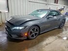 2024 Ford Mustang Gray vin: 1FAGP8UH5R5132864
