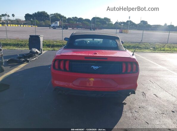 1FATP8UH0M5116367 2021 FORD MUSTANG Red 