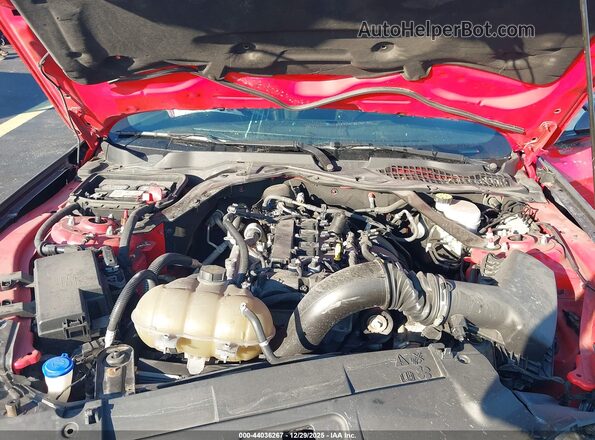 1FATP8UH0M5116367 2021 FORD MUSTANG Red Rear view