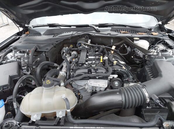 1FATP8UH6P5105099 2023 FORD MUSTANG Gray Widok z tyłu