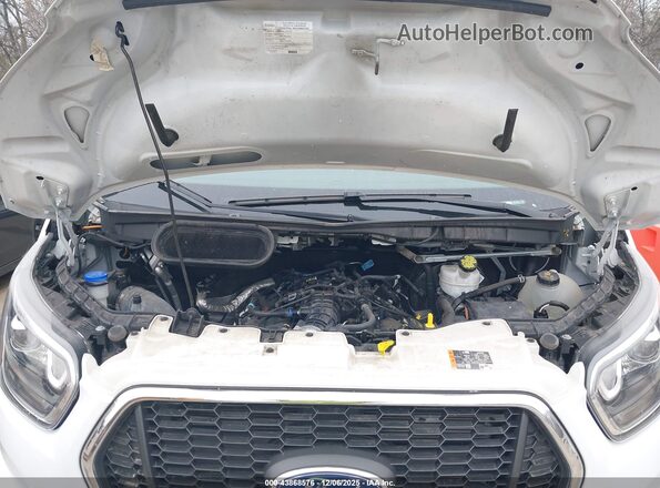 1FBAX2YG7PKB09068 2023 FORD PASSENGER White Widok z tyłu