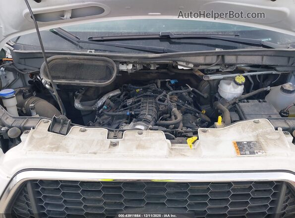 1FBAX2YG8PKB07992 2023 FORD PASSENGER White Widok z tyłu