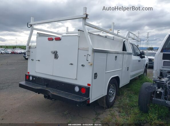 1FD7X2AA9REE90320 2024 FORD F-250 Белый Задняя правая четверть