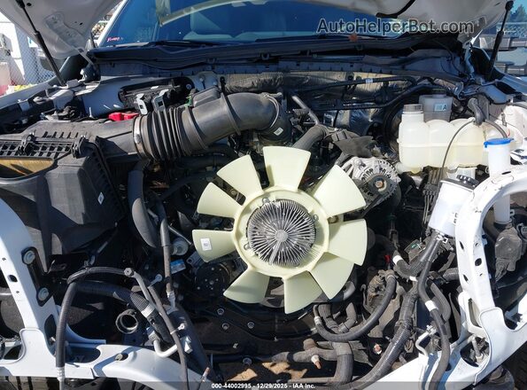 1FD7X2AA9REE90320 2024 FORD F-250 Белый Вид сзади