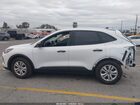 2023 Ford Escape   Белый vin: 1FMCU0FN1PUB03141