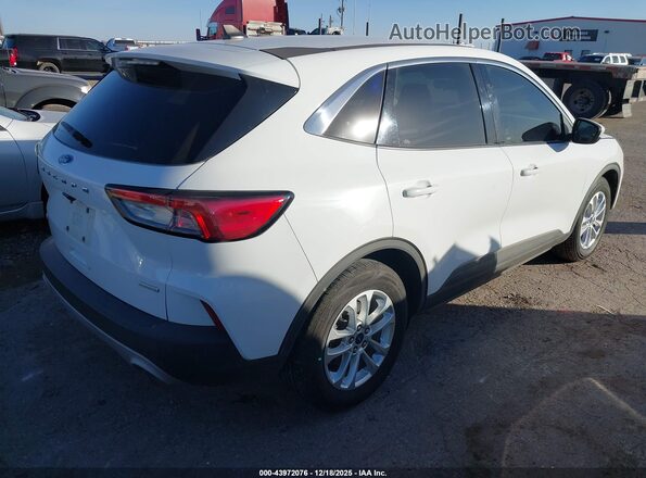 1FMCU0G67LUB92084 2020 FORD ESCAPE White Tył prawy