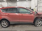 2019 Ford Escape Se Orange vin: 1FMCU9GD3KUB27802 2019 Ford Escape Se Orange vin: 1FMCU9GD3KUB27802