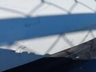 2023 Ford Super Duty F-250 Srw Xl vin: 1FT7X2AA6PEC62888