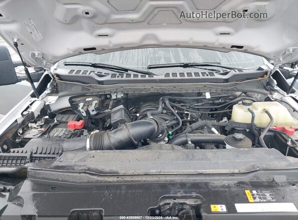 1FT7X2BA2PEE18679 2023 FORD F-250 Серебряный Вид сзади
