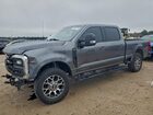 2024 Ford F250 Super Duty Gray vin: 1FT8W2BT6REE15392