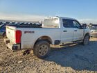 2025 Ford F250 Super Duty Белый vin: 1FT8W2BT9SEC85064