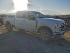 2025 Ford F250 Super Duty Белый vin: 1FT8W2BT9SEC85064