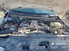 2025 Ford F250 Super Duty Белый vin: 1FT8W2BT9SEC85064