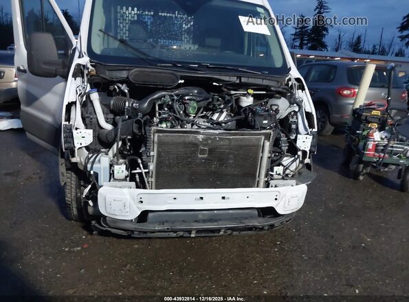 1FTBW9C82PKB66354 2023 FORD TRANSIT-350 Белый 