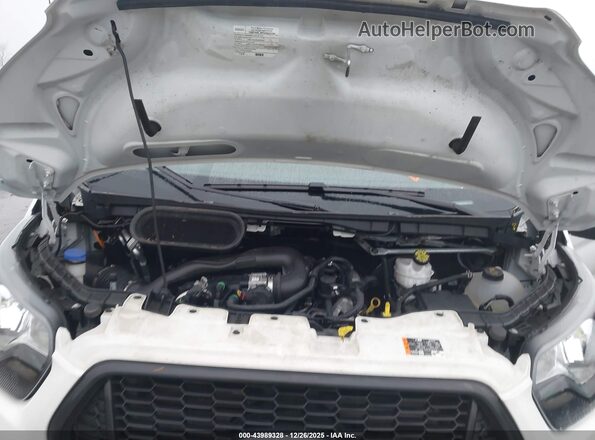 1FTBW9C88RKA53821 2024 FORD TRANSIT-350 Белый Вид сзади