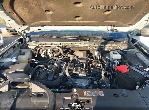 1FTER4HH3RLE52694 2024 FORD RANG Зеленый Вид сзади