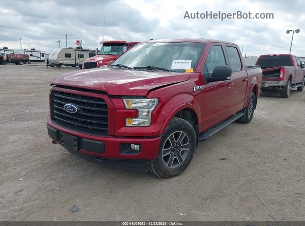 1FTEW1EF4HKC23522 2017 FORD F150 Красный Панорамный вид салона 360°