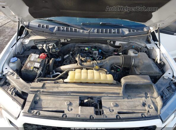 1FTEW1EP7KFA78257 2019 FORD F150 White Rear view