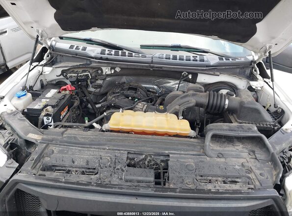 1FTMF1C86HKC47028 2017 FORD F150 White უკანა ხედი